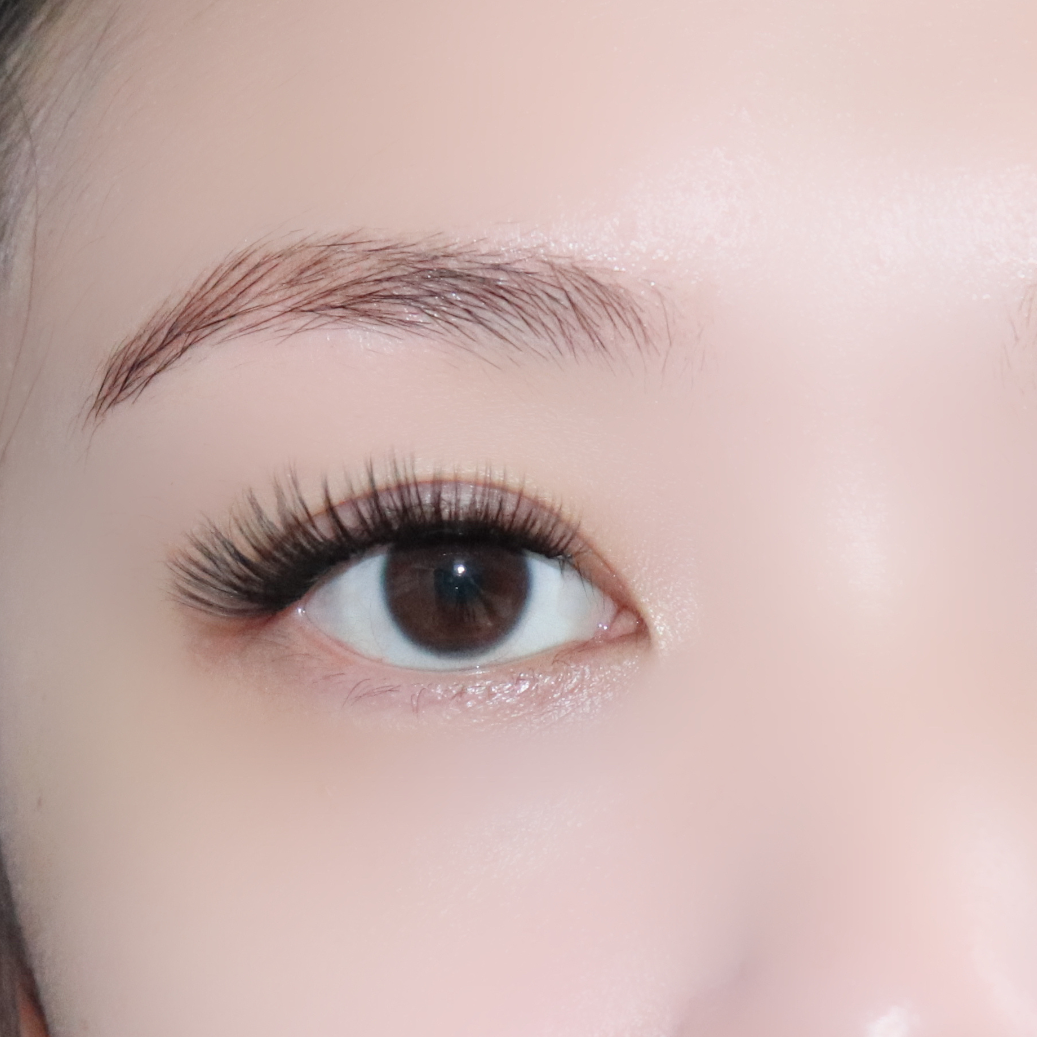 Missy Lash soft volume pre glued press on lash extentions